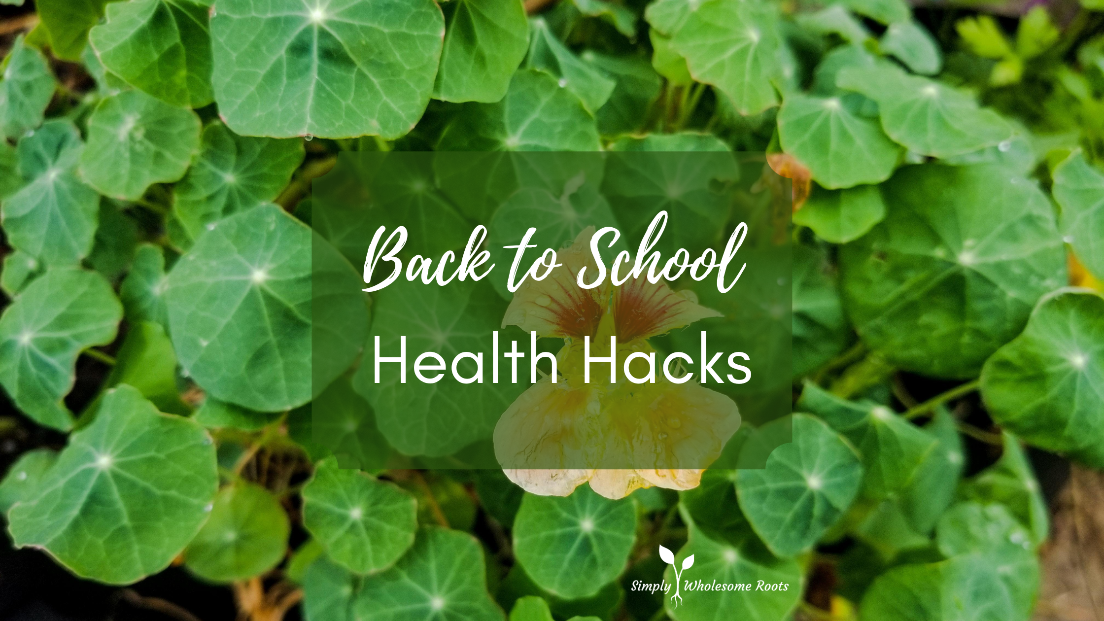 back to school health hacks